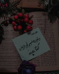 و خير جليس في الزمان كتاب photo and video instagram photo instagram