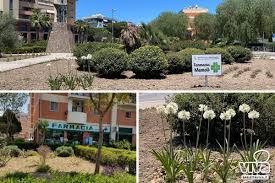 25 anni a Barletta con la farmacia della famiglia Memoli