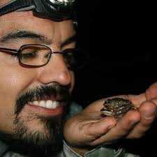 alguien sabra que tipo es ... esta en una plaza en un tocon de tilo