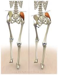 Anatomic Sequencing Revolved Half Moon Pose This Is It This Is What Causes My Gait Issue Yoga Anatomy Muscle Anatomy Pelvic Tilt