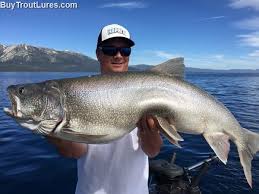 Incredible Lunker Lake Trout From Lake Tahoe Mike Nielsen Of Tahoe Topliners Is A Master Fisherman Vissen