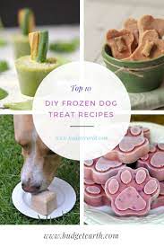 10 Diy Frozen Dog Treat Recipes Dog Treats Homemade Recipes Homemade Pet Treats Pet Treats Recipes