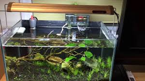 Fish Tank Led Light Extender Risers Finnex Youtube