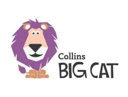 There a big background picture for each wild cat category so you can have even better view. Big Cat Phonics For Letters And Sounds Peters