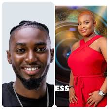 Big brother naija season 5 also known as big brother naija: V Jsafch8itrom