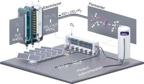There are 7 professionals named sc liew, who use linkedin to exchange information, ideas, and opportunities. Technical Photosynthesis Involving Co 2 Electrolysis And Fermentation Nature Catalysis