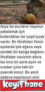 Maymun Tuzagi Cay