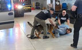 Police de-escalation trainings help simulate crisis response