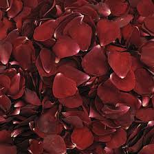 Color Series Romantic Reds Flyboy Naturals Dried Rose Petals Rose Petals Wedding Freeze Dried Rose Petals