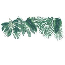 Unique palm leaf posters designed and sold by artists. Tropical Green Leaves Wall Sticker Art Palm Leaf Stickers Aesthetic Plant Mural Decals Nordic Home Decoration Muursticker J189 Wall Stickers Aliexpress
