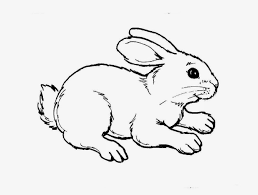 Kumpulan gambar hewan untuk anak anak tk obatrindu com 20 11 2019 gambar hewan untuk anaka anak belajar mewarnai hai adik adik para guru dan orangtua sekalian kali ini obatrindu akan membagikan kepada anda beberapa gambar tentang sketsa hewan yang berada di sekitar kita. Kumpulan Gambar Hewan Untuk Anak Anak Tk Paud Belajar Mewarnai