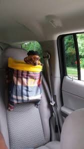 Diy Dog Carseat Backpack Diy Dog Stuff Diy Dog Backpack Dog Car Booster Seat