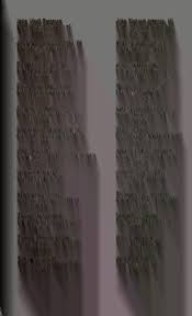 1973 May Memphis State University commencement program