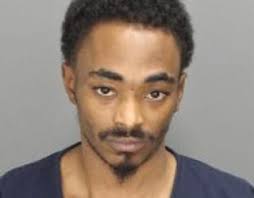 Bloomfield Twp Police arrest three for 25 car thefts in Metro Detroit, find  stolen guns during raids