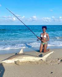 Wildlife florida fishing brings you close to nature, so close you shake off a primordial shiver as an alligator bellows on a sunny bank near kissimmee or gainesville. Surf Fishing In Florida Sarasota Fishing Charters 941 371 1390