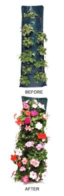 Check spelling or type a new query. How To Get The Best From Your Flower Pouches Thompson Morgan