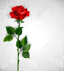 We did not find results for: Red Rose With A Straight Stem And Green Leaves On A Light Background Royalty Free Cliparts Vectors And Stock Illustration Image 39156521