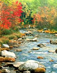 Obituary information for Violet May Hostetler