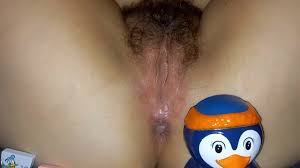 tourist Pavia - pornohub
