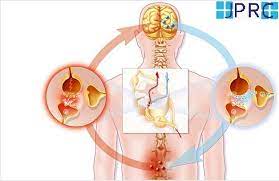 Neuropathic pain Description In Hindi