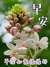 You are the reason i wake up each day with a smile on my face. 900 Good Morning Wishes In Chinese Ideas Good Morning Wishes Morning Wish Good Morning