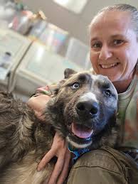 What a amazing day…Zeus is super proud of himself just as much as we are  off him,thank you to everyone that made today special not bad for his first  show now back