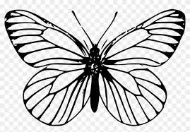 The following are some other butterfly transparent stock files that may interest you as well Monarch Butterfly Outline Drawing Template Butterfly Outline Clipart 816369 Pikpng