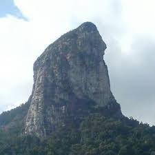 Perkara itu dimaklumkan kor ming dalam satu sidang media di parlimen, sebentar tadi. Komuniti Pulau Tioman Posts Facebook