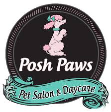 Our professional pet stylist is a registered member of the. Pet Grooming Dog Training Daycare In Temple Tx Posh Paws Pet Resort