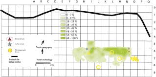 On peut faire les plans de sa maison. Late Neanderthal Short Term And Specialized Occupations At The Abri Du Maras South East France Level 4 1 Mis 3 Springerlink