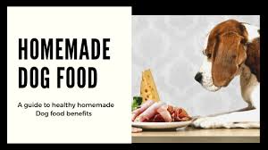 Homemade dog food recipe подробнее. Everything You Wanted To Know About Nutritionally Complete Homemade Dog Food