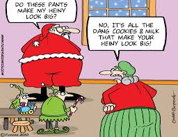 If it weren't for electricity we'd all be watching television by candlelight. Funny Clean Christmas Jokes