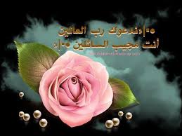 أجمل أدعية أستاذ المداحين سيد النقشبندى يا مجيب السائلين الواحد المعبود Cool Gifs Flowers Rose