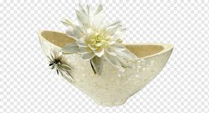 The exciting design of the world menagerie gobin 16 piece dinnerware set looks lovely in a contemporary or transitional setting. White Flower Epiphyllum Color Peace Gratis Flowerpot Tableware Vase Epiphyllum White Color Png Pngwing