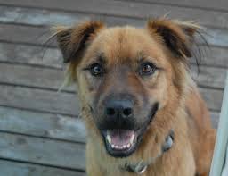 The Adventure Photography