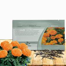 Image result for Tagetes erecta