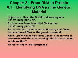 Identifying dna as the genetic material (8. Ppt Chapter 8 From Dna To Protein 8 1 Identifying Dna As The Genetic Material Powerpoint Presentation Id 5412336