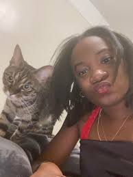 Hi there my name is Rebecca unforchantly i am having to find a place for my  beautiful kitty kat she is around 8 years old I have a situation where i am