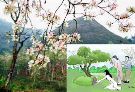 Tiết thanh minh là tiết thứ 5 trong số 24 tiết khí hàng năm, đến sau ngày lập khi cúng tết thanh minh tại gia, gia chủ cần dọn dẹp nhà cửa gọn gàng, lau sạch bàn thờ gia tiên rồi đặt mâm lễ lên trên. Tin Tá»©c Ä'áº·c Biá»‡t áº¥n TÆ°á»£ng Vá» Chá»§ Ä'á» Táº¿t Thanh Minh
