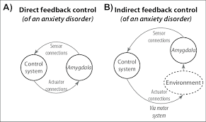 Direct And Indirect Feedback Control An Anxiety Disorder E G Social Download Scientific Diagram
