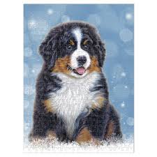 Get it tomorrow, may 12. Puppy Love Jigsaw 500 Piece Bernese Mountain Dog Jigsaw Puzzle