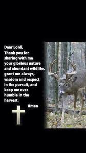 Pin On Deer Stand