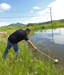 There were mosquito larvae present in the water when. It S Full On Mosquito Season In Santa Cruz County Local News Stories Nogalesinternational Com