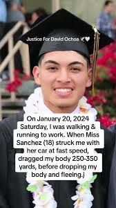 Daniel Ocho's Instagram, Twitter & Facebook