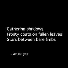 Late November Nights Azuki Lynn Winter S Edge Haiku Poetry Poezie