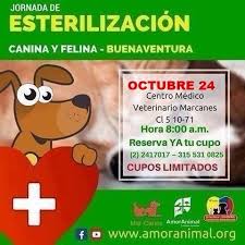 Centro Veterinario Buenaventura