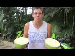Miracle fruit plants are staked in a sealed in a plastic wrapping to retain moisture during shipment. Becomingfilipino Miracle Fruit Calabash Youtube