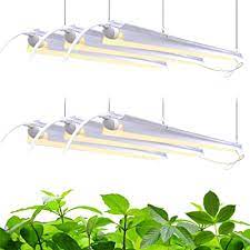 Growing plants under led shop lights. Buy Barrina Plant Grow Light 252w 6 X 42w 1400w Equivalent Full Spectrum Led Grow Light Strips T8 Integrated Growing Lamp Fixture Grow Shop Light With On Off Switch 6 Pack Hellip Online In Uzbekistan