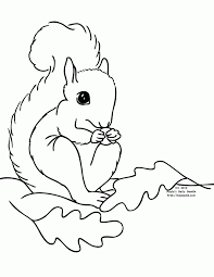 Waterfowl, seabirds and wading birds. Coloring Pages Of Squirrels Coloring Home