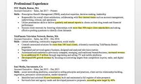 Account Executive Resume Writing Tips Resume Companion
